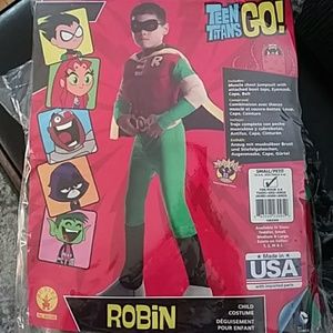 Robin costume